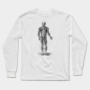 Human Muscle System - Vintage Anatomy Long Sleeve T-Shirt